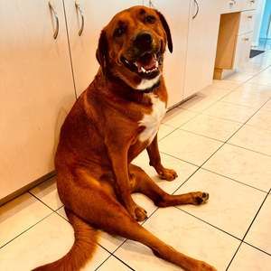 Meet your Posher, Rachael